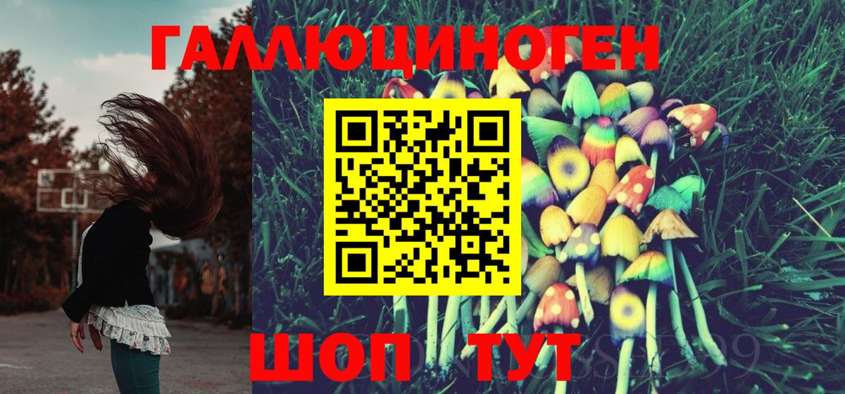 Тихвин  Галлюциногенные грибы мухоморы  Вход с VPN 